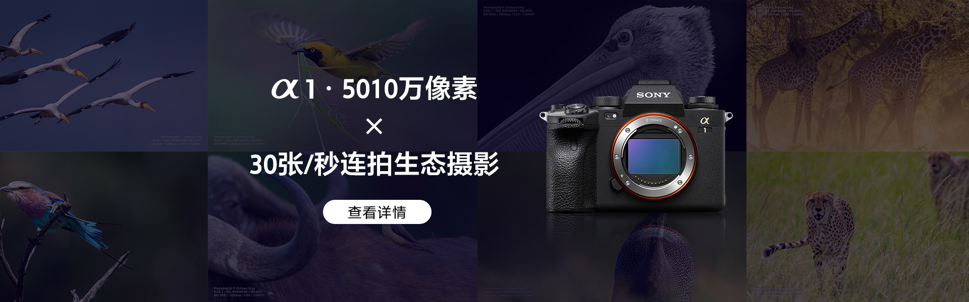 banner图片