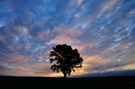 image04